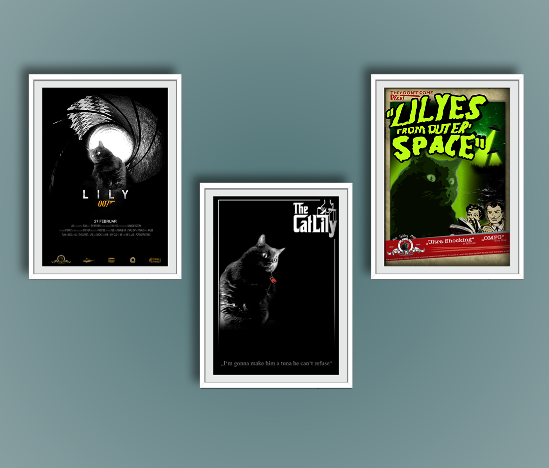 Graphic Design - Film Poster: Lily