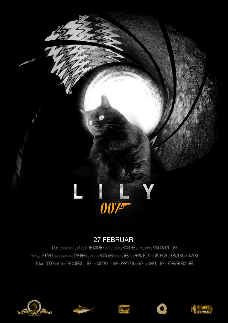 My cat Lily as James Bond