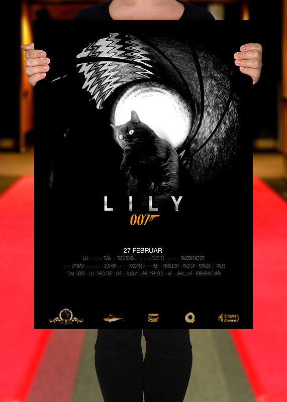 My cat lily as james bond