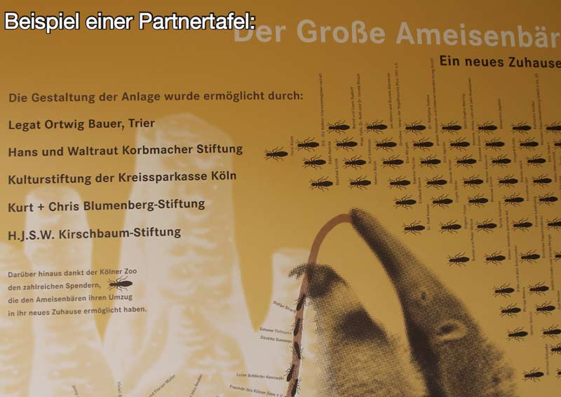 examples zoo support board